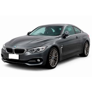 Передня Lip накладка DPT (Для Base, чорний глянець) BMW 4 серія F32/F33/F36 2012-2020 рр. фото 1