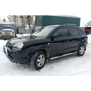 Бічні труби BB002 (2 шт., нерж.)