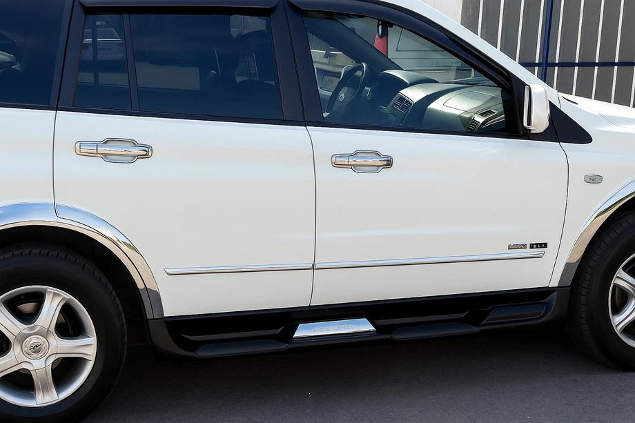 SsangYong Action 2005-2018 рр. Накладки навколо ручок (4 шт, пласт) Image