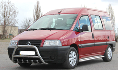 Fiat Scudo 1996-2007 рр. Кенгурятник WT003 (нерж) фото 4