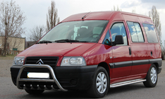 Кенгурятник WT003 (нерж) фото 3