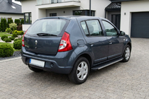 Renault Sandero 2007-2013 рр. Бокові пороги Maya V1 (2 шт., алюміній) фото 1