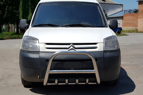 Кенгурятник WT003 (нерж.) фото 4