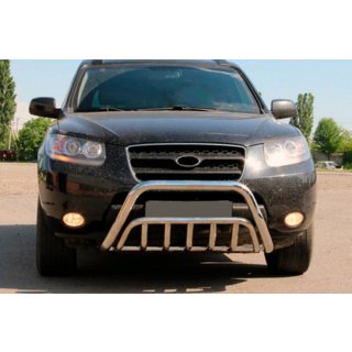 Кенгурятник WT002 (нерж.) Hyundai Santa Fe 2 2006-2012 рр. фото 1