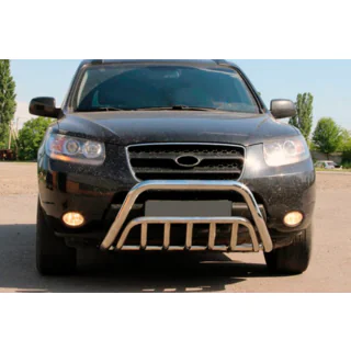 Кенгурятник WT002 (нерж.) Hyundai Santa Fe 2 2006-2012 рр. фото 1