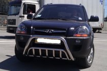 Hyundai Tucson JM 2004- рр. Кенгурятник WT002 (нерж.) фото 2