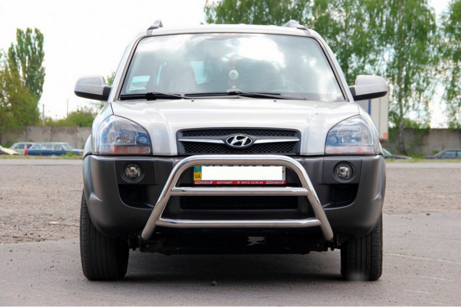 Hyundai Tucson JM 2004- рр. Кенгурятник WT022 (нерж.) Фото 2