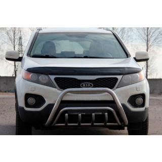 Кенгурятник WT002/2 (нерж.) фото 2