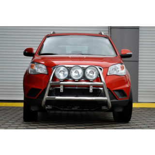 Кенгурятник WT018 (нерж.) фото 1