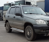 Бокові пороги Premium (2 шт., нерж) фото 1