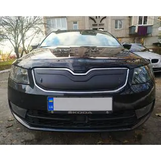 Зимова накладка на решітку (2013-2017)