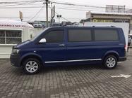 Volkswagen T5 Transporter 2003-2010 рр. Молдинги на двері (нерж, Хром) фото 7