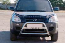 Hyundai Tucson JM 2004- рр. Кенгурятник WT025 (нерж.) фото 1