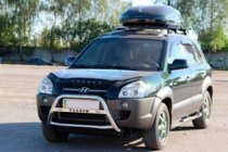 Hyundai Tucson JM 2004- рр. Кенгурятник WT025 (нерж.) фото 2