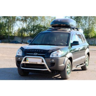 Кенгурятник WT025 (нерж.) Hyundai Tucson JM 2004- рр. фото 2