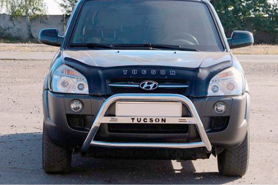 Hyundai Tucson JM 2004- рр. Кенгурятник WT025 (нерж.) Image