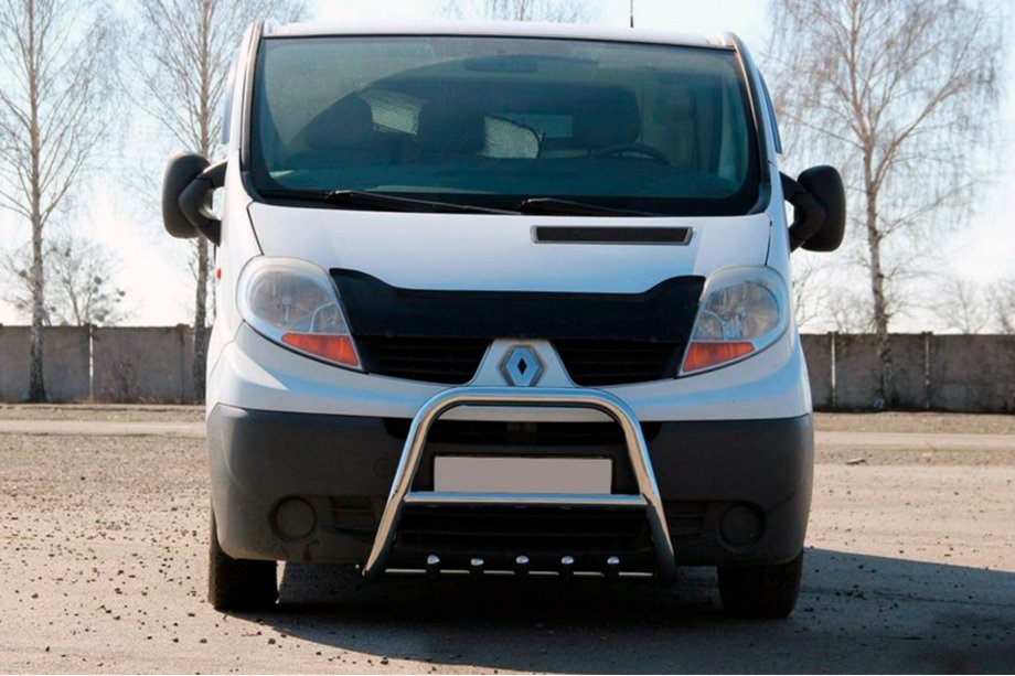 Renault Trafic 2001-2015 рр. Кенгурятник QT-Spec (нерж.) Image