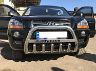 Hyundai Tucson JM 2004- рр. Кенгурятник WT004 (нерж.) фото 2