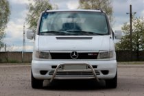 Mercedes Vito W638 1996-2003 рр. Кенгурятник WT022 (нерж.) фото 1