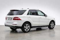 Mercedes GLE/ML class W166 2011-2018 рр. Бокові пороги Duru (2 шт., алюміній) фото 1