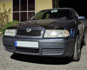 Skoda Octavia I Tour A4 1996-2010 рр. Зимова решітка (верхня) фото 3