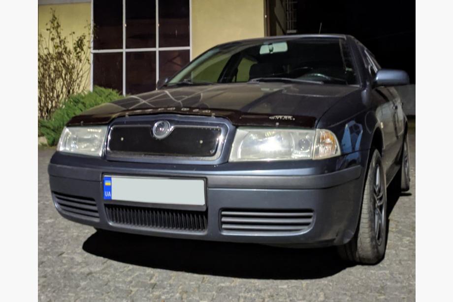 Skoda Octavia I Tour A4 1996-2010 рр. Зимова решітка (верхня) матова Фото 3