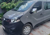 Opel Vivaro 2015-2019 рр. Накладки на дзеркала (2 шт., пласт) фото 9