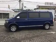 Volkswagen T6 2015-2024 рр. Молдинги на двері (нерж, Хром) фото 4