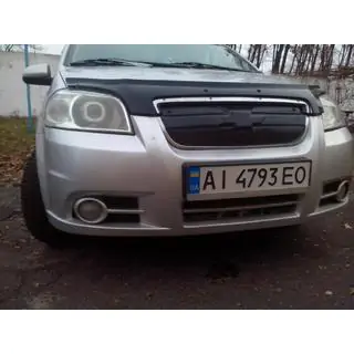 Зимова решітка фото 2