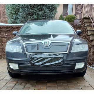 Skoda Octavia A5 2004-2010 Зимова накладка на решітку в бампер