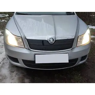 Зимова накладка на решітку (верхня) фото 1