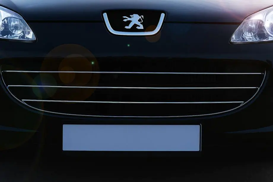 Peugeot 407 2004-2011 рр. Накладки на решітку (3 шт, нерж) Carmos - Турецька сталь