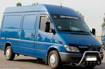 Mercedes Sprinter W901/902/903/904/905 1995-2006 рр. Кенгурятник WT004 (нерж.) фото 4