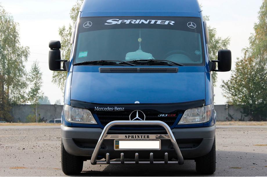Mercedes Sprinter W901/902/903/904/905 1995-2006 рр. Кенгурятник WT004 (нерж.) Image