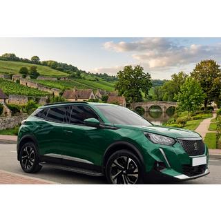 Бокові пороги Allmond Black (2 шт, алюміній) Peugeot 3008 2016-2023 рр. фото 1