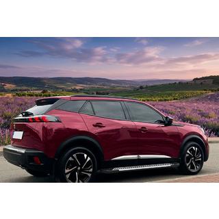 Бокові пороги Line (2 шт, алюміній) Peugeot 3008 2016-2023 рр. фото 1