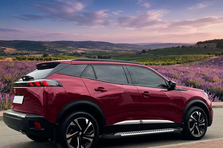 Peugeot 3008 2016-2023 рр. Бокові пороги Line (2 шт, алюміній) Image
