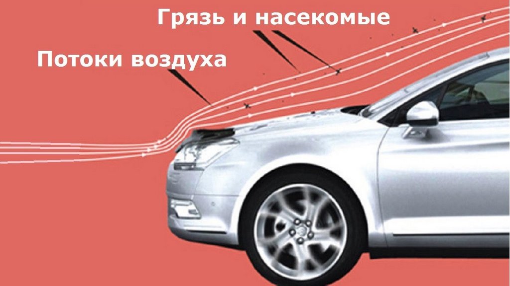 Як встановити мухобійку?