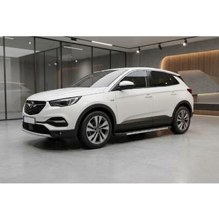 Бокові пороги Duru (2 шт., алюміній) Opel Grandland X 2017- рр. фото 1