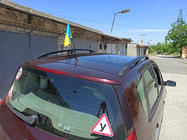 Renault Scenic/Grand 2003-2009 рр. Рейлінги Чорні (2 шт) фото 9