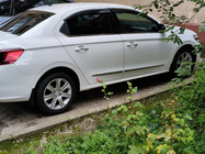 Peugeot 301 2012- рр. Окантовка вікон (нерж) фото 1