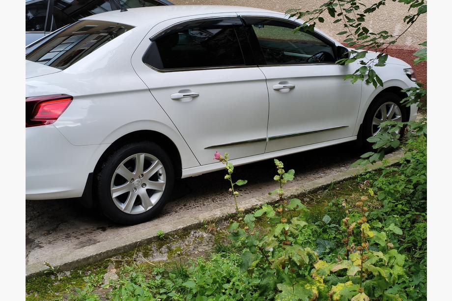 Peugeot 301 2012- рр. Окантовка вікон (нерж) Image