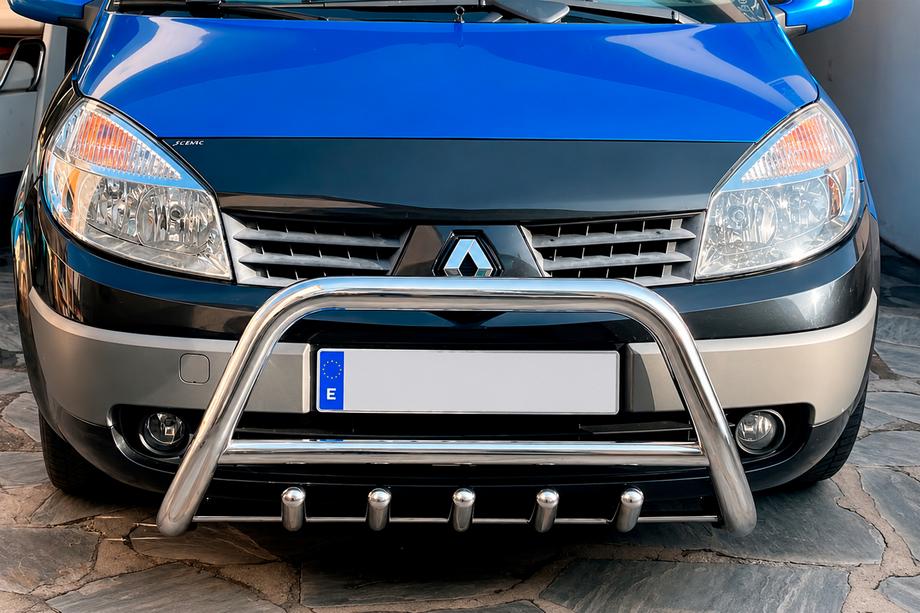 Renault Scenic/Grand 2003-2009 рр. Кенгурятник WT003 (нерж) Image