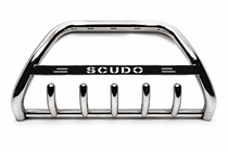 Fiat Scudo 1996-2007 рр. Кенгурятник WT004 (нерж) фото 1