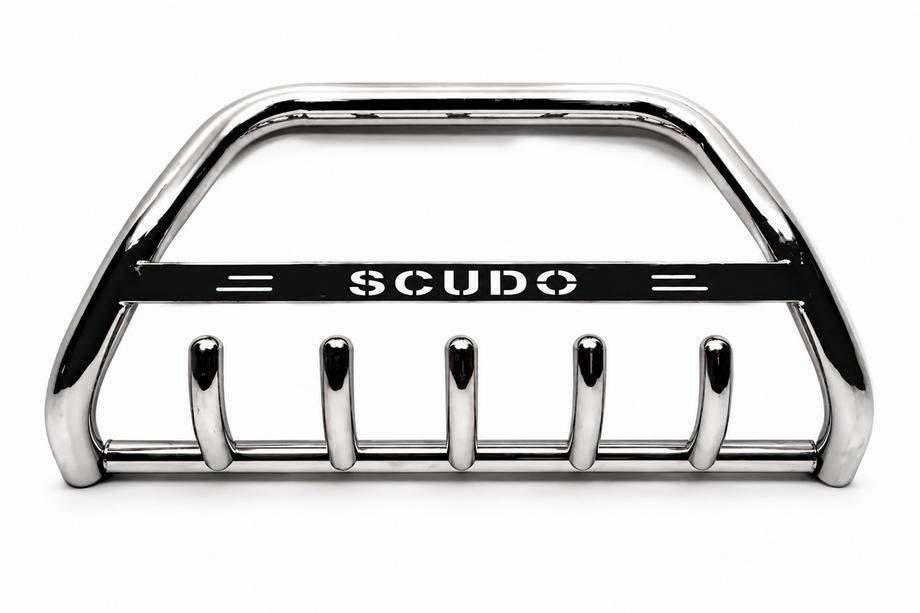 Fiat Scudo 1996-2007 рр. Кенгурятник WT004 (нерж) Image