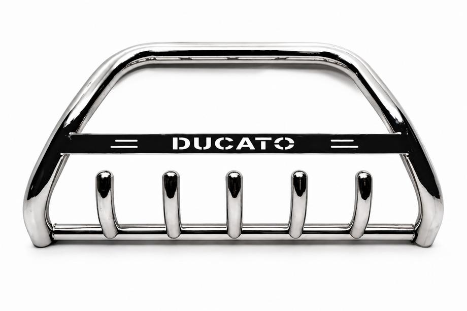 Fiat Ducato 2006-2025 рр. Кенгурятник WT004 (нерж) Image