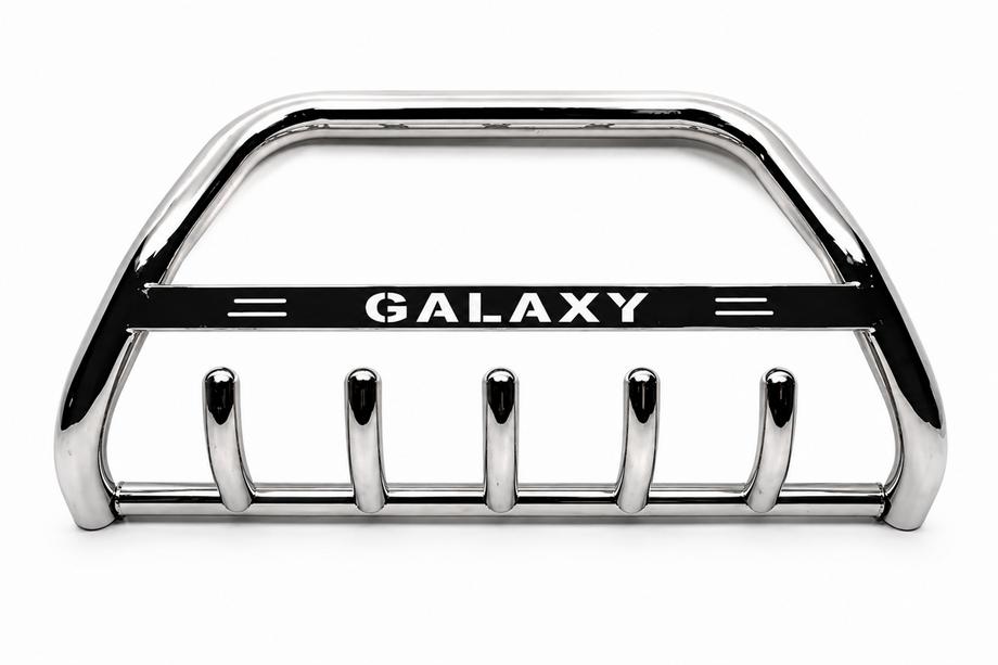 Ford Galaxy 2007-2015 рр. Кенгурятник WT004 (нерж) Image