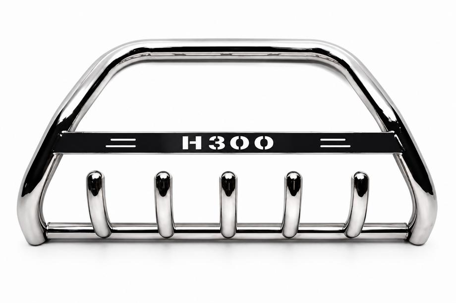 Hyundai H300, H1, Starex 2008-2020 рр. Кенгурятник WT004 (нерж) Фото 2