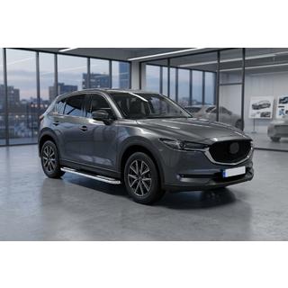 Бокові пороги Tayga V2 (2 шт., алюміній) фото 1