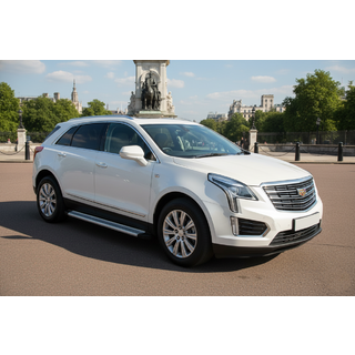 Бокові пороги Maya V2 (2 шт., алюміній) фото 1